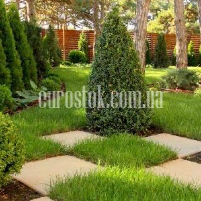 ландшафтный дизайн